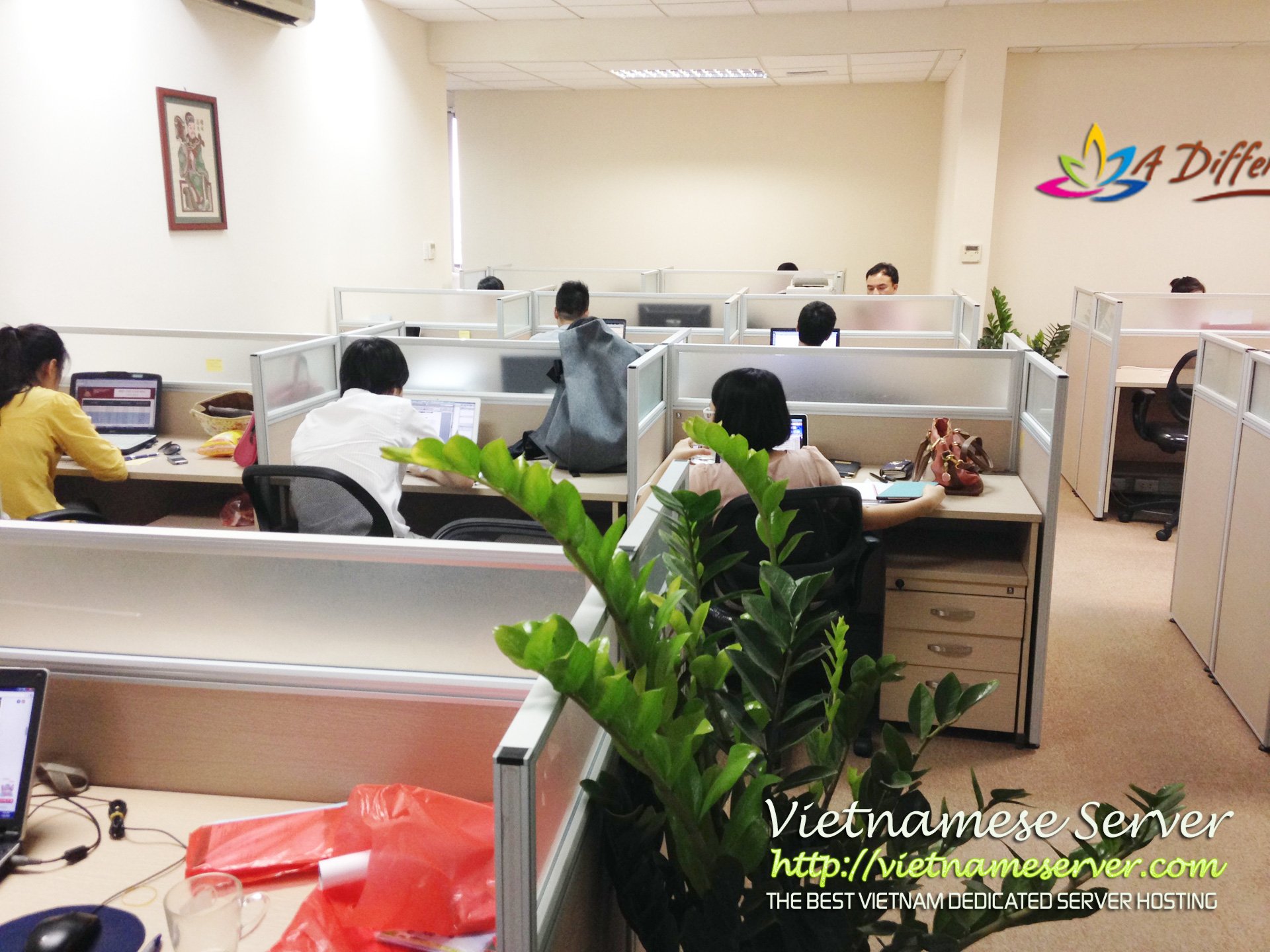 vnspg-office-2